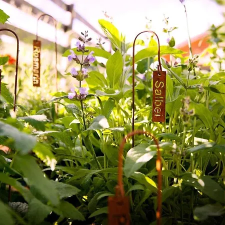 Apartment Kuschel Alpin Apartment&traumblick Nockberge Auf H1200m Plessnitz